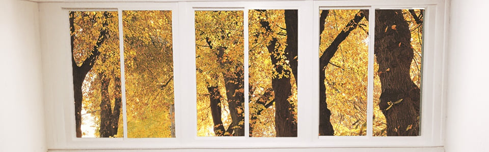 Bank of white casement windows looking out on autumn trees