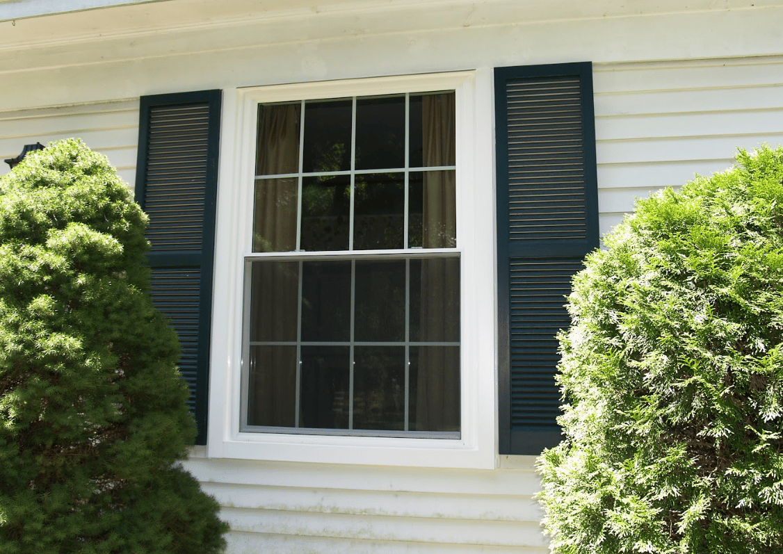 Close-up exterior view of a white double-hung window with grid panes, framed by dark navy louvered shutters and white horizontal siding, flanked by green evergreen shrubs.